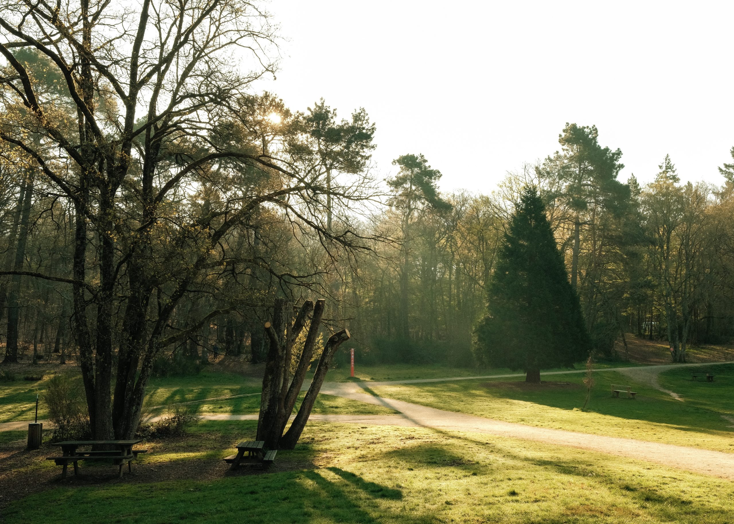 Reportage photo en lumière naturelle par Caryl Maugin au Mans