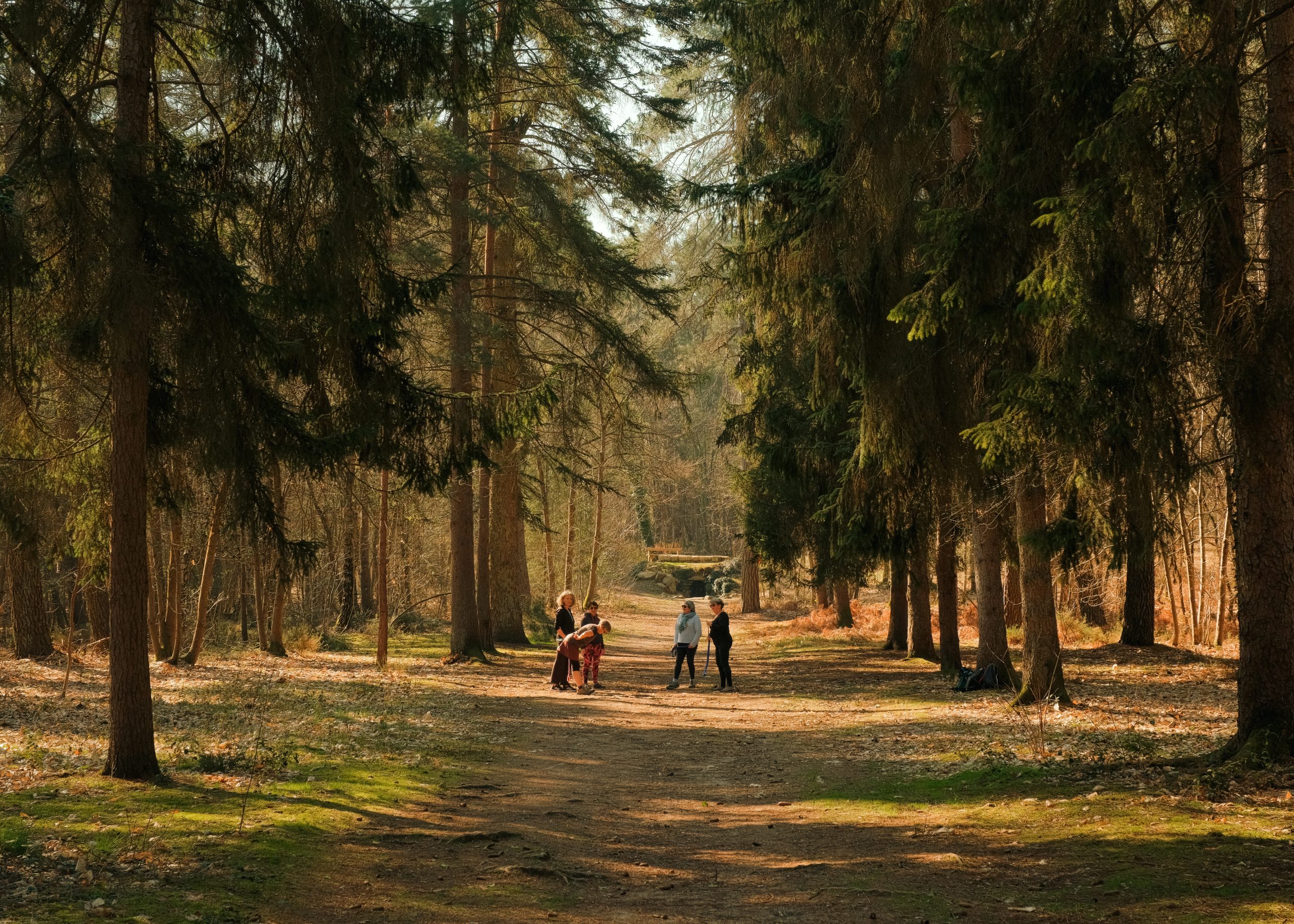 Caryl Maugin, photographe en Sarthe