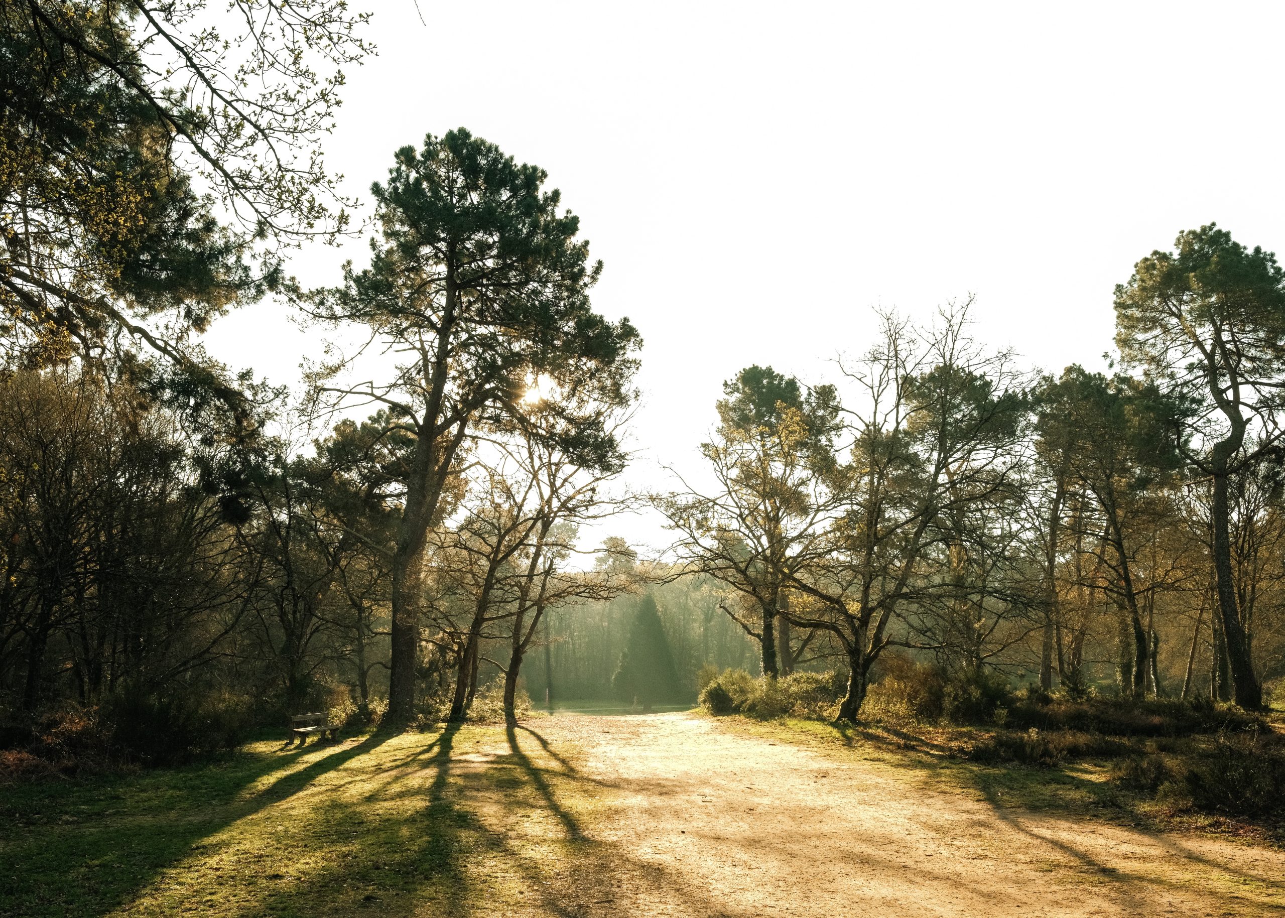 Territoire