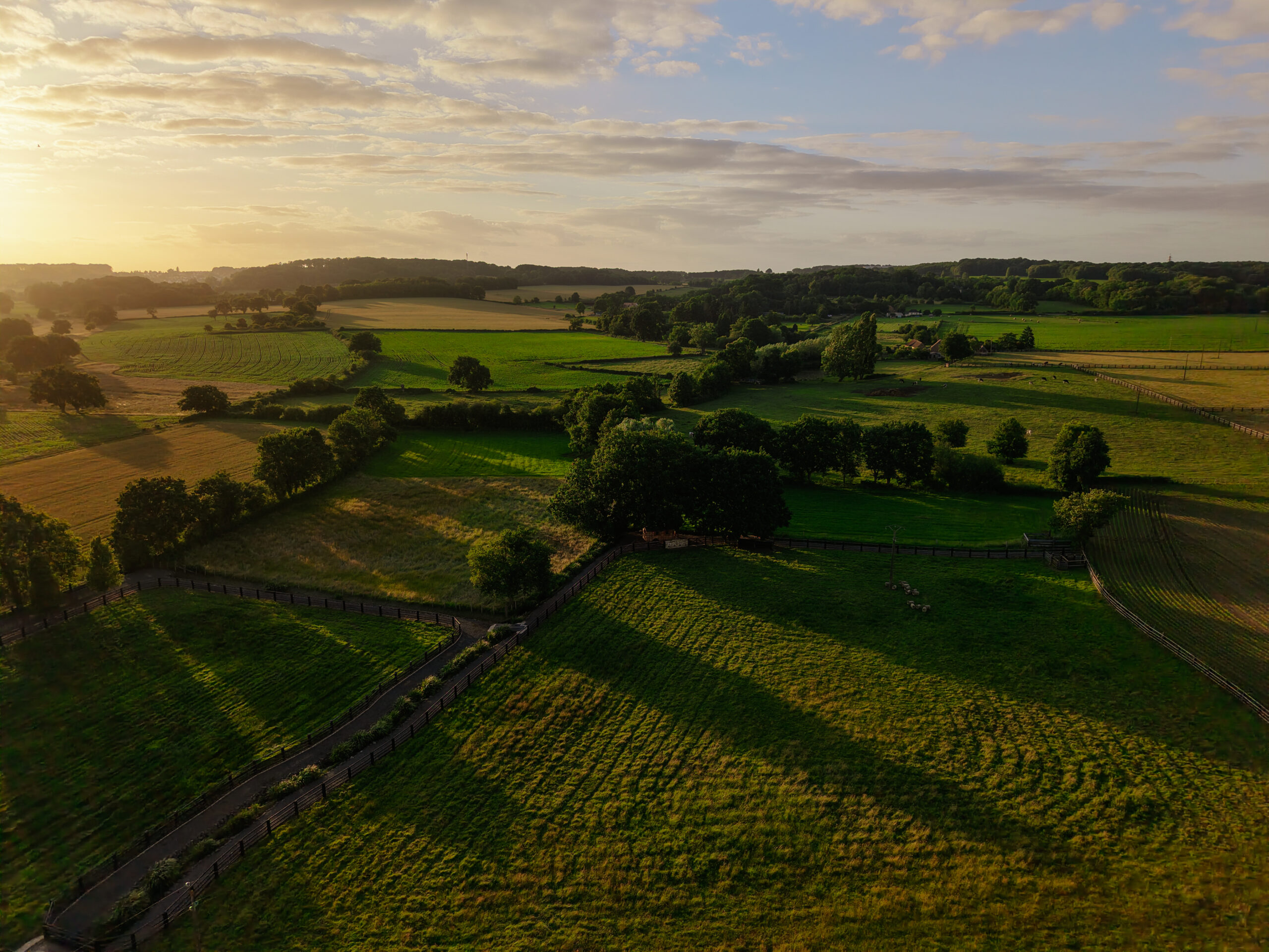 Coucher de soleil sur la campagne, champs et prairies en Sarthe, par Caryl Maugin