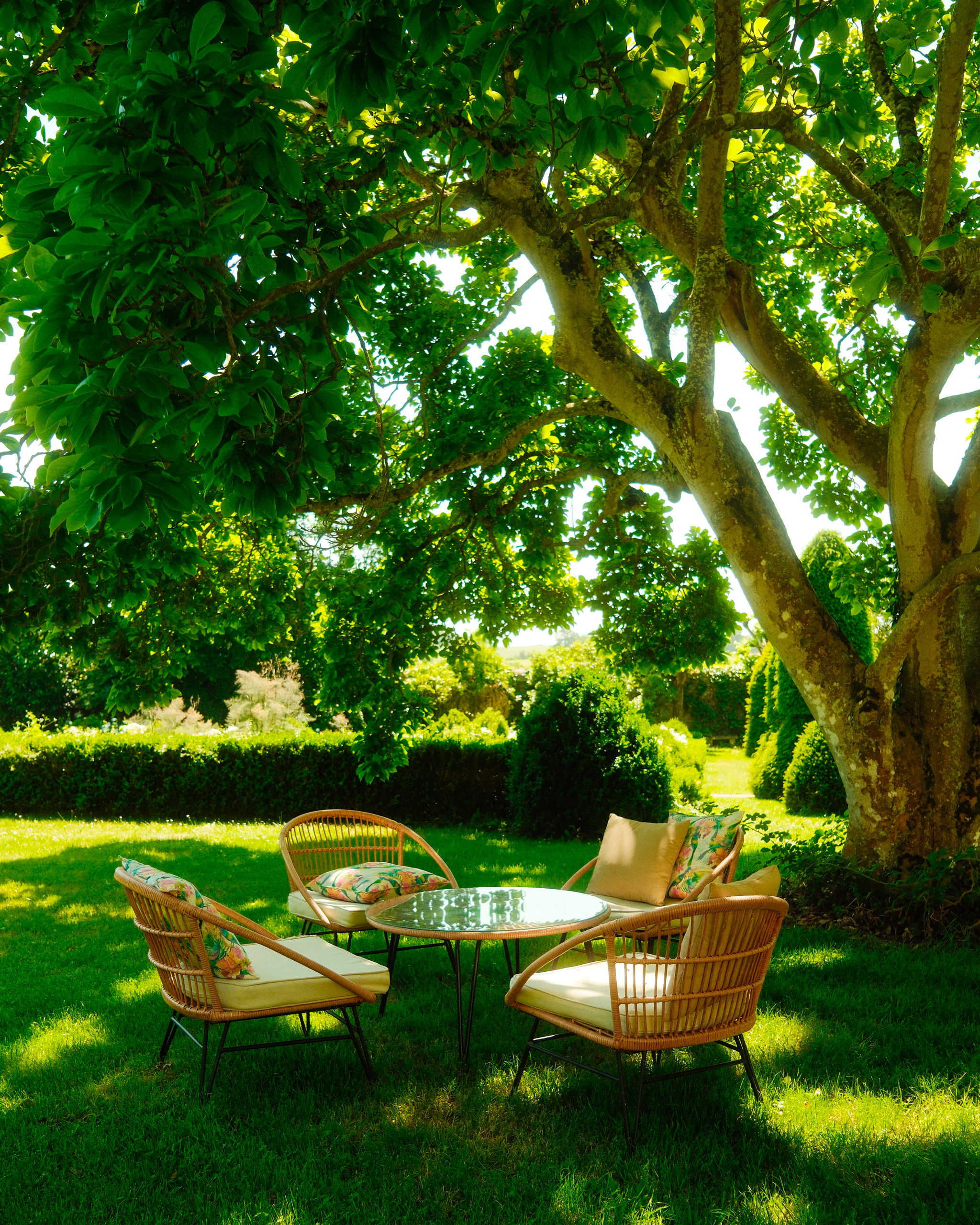 Salon de jardin en rotin installé à l’ombre d’un grand arbre au Domaine Massonnière