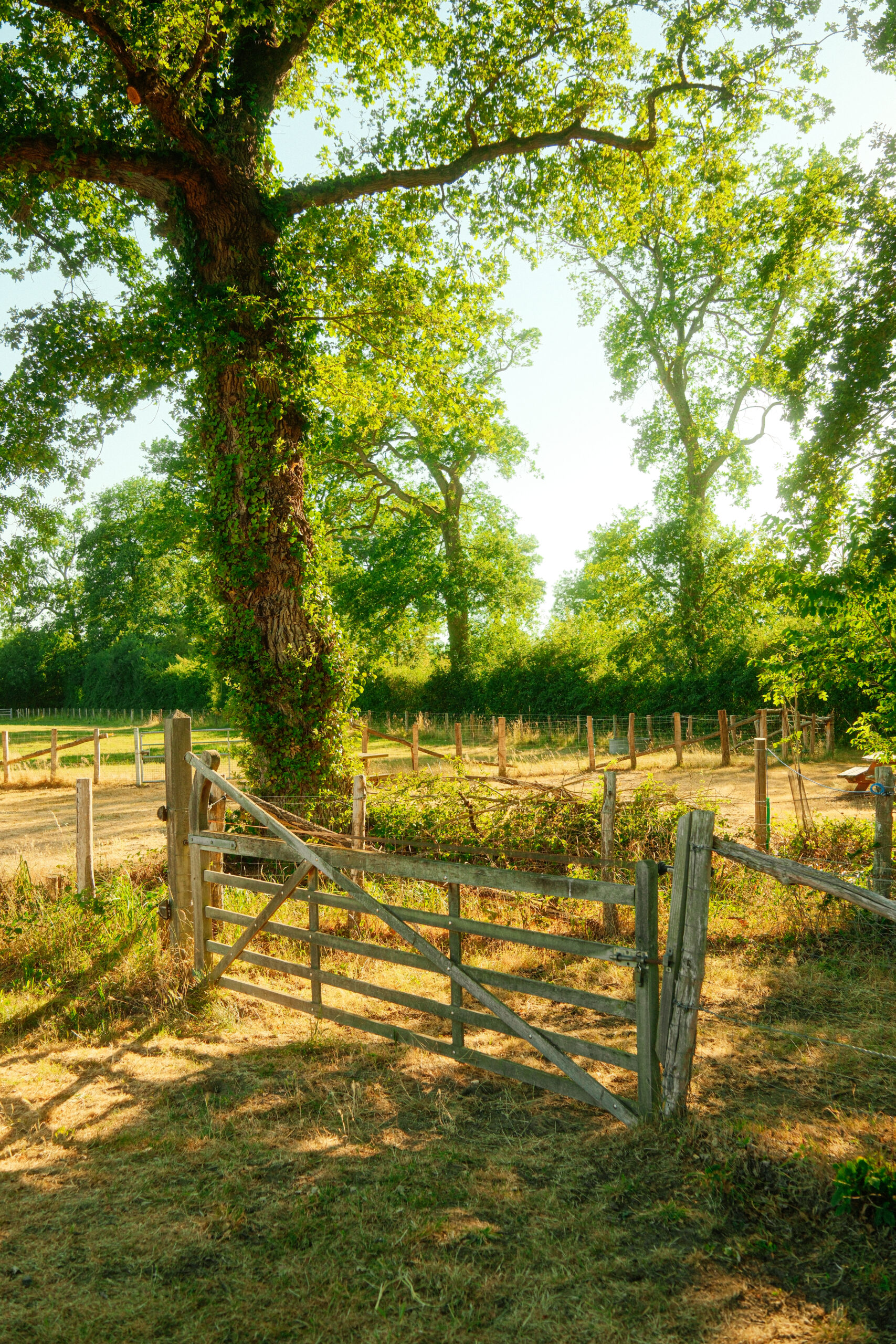 Reportage photo_Arche de la Nature_Le Mans_Caryl Maugin_barrière en bois