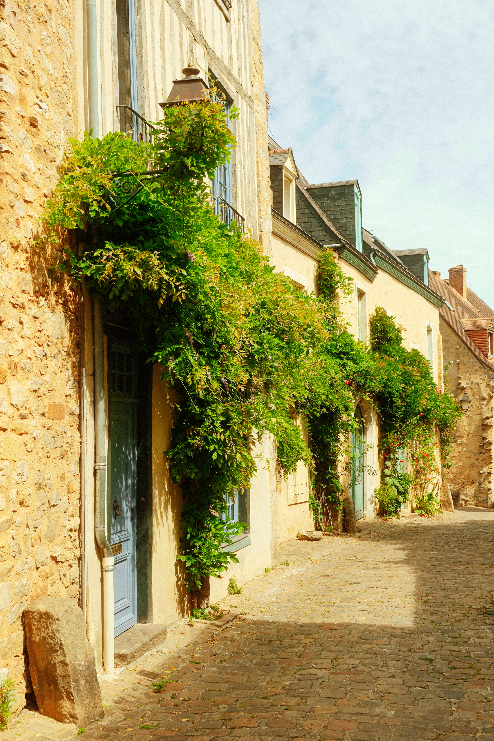 Reportage photo_Le Mans_Cité Plantagenêt_Glycines_Caryl Maugin.